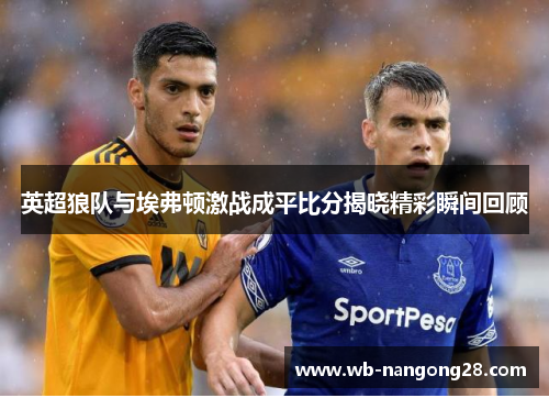 英超狼队与埃弗顿激战成平比分揭晓精彩瞬间回顾
